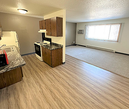 Newly Remodeled 2 Bedroom Apartment